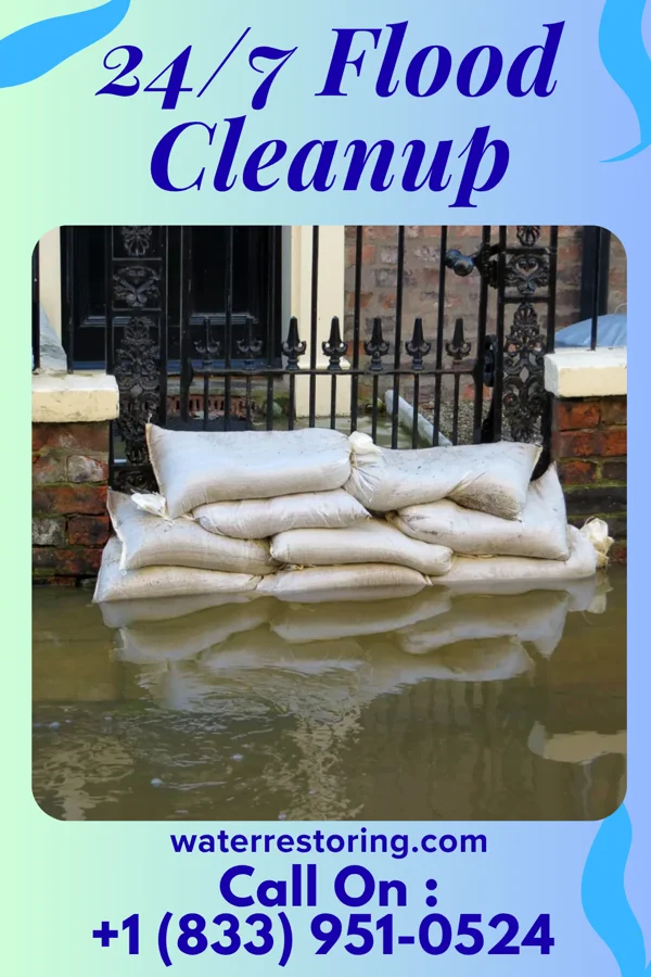 24/7 Flood Cleanup in Minnetonka Beach, MN