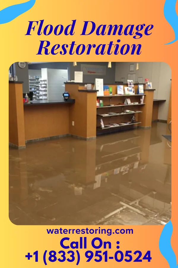 Flood Damage Restoration in Minnetonka Beach, MN