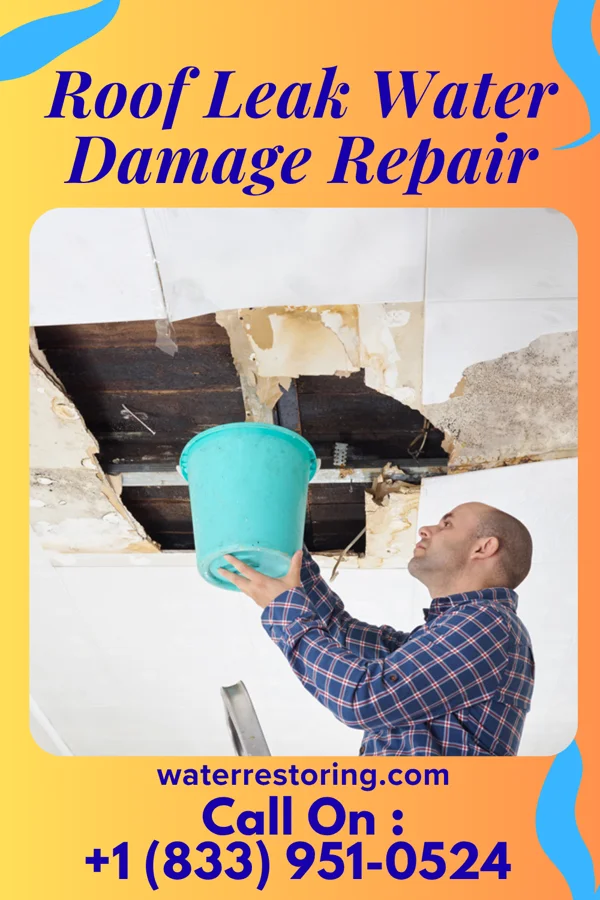 Roof Leak Water Damage Repair in Minnetonka Beach, MN