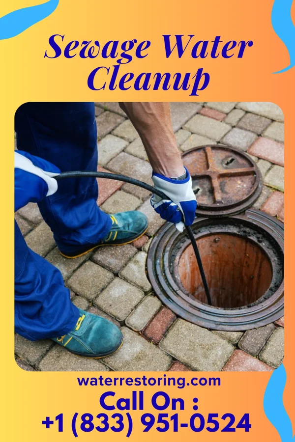 Sewage Water Cleanup in Minnetonka Beach, MN